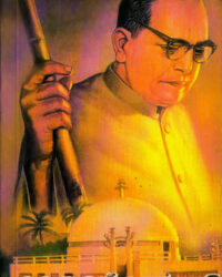 Ambedkar - A Biography