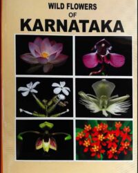WILD FLOWERS OF KARNATAKA|WILD FLOWERS OF KARNATAKA