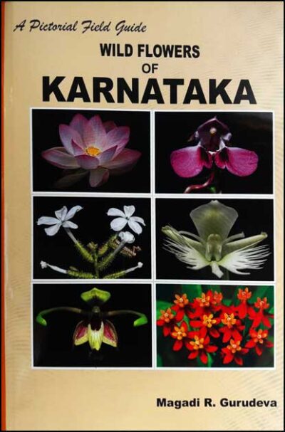 WILD FLOWERS OF KARNATAKA|WILD FLOWERS OF KARNATAKA
